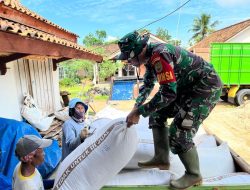 Kodim 0429 Lampung Timur: Meningkatkan Produksi Padi Menuju Swasembada