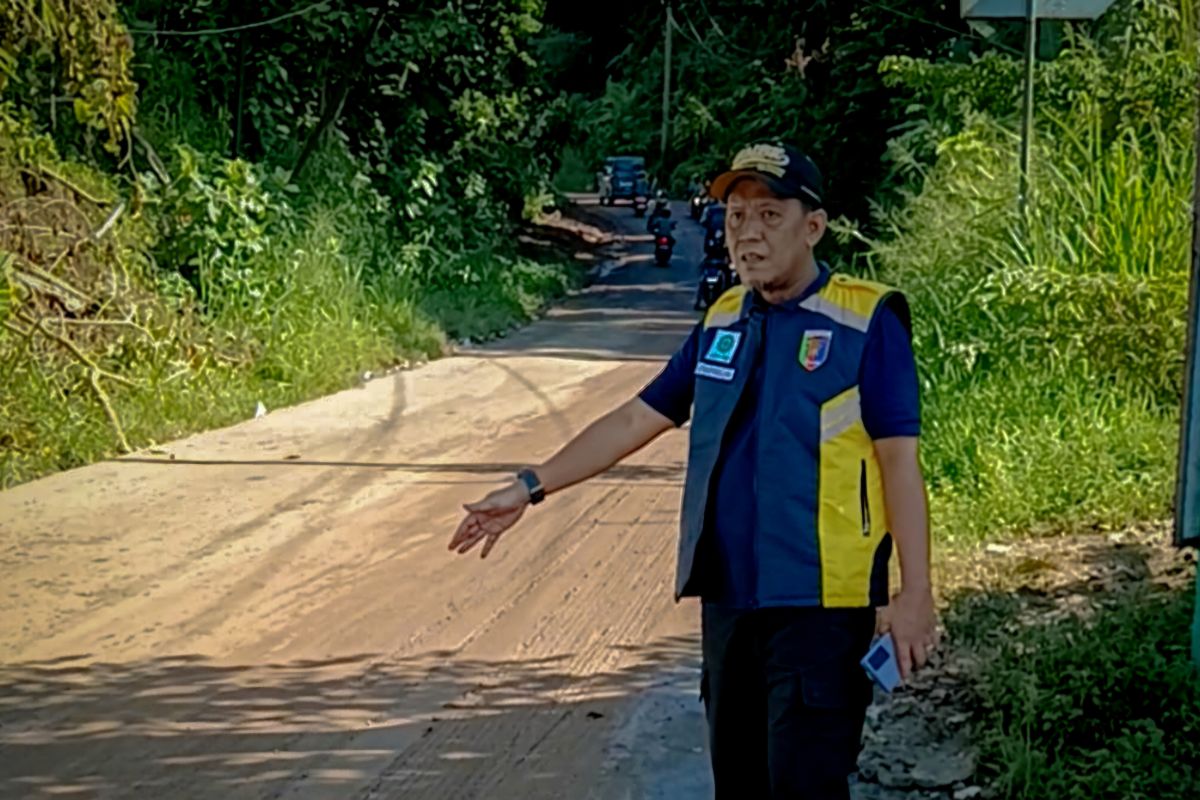 Menakjubkan! Dinas Bina Marga Lampung Segera Atasi Longsor di Jalur Pariwisata Pesawaran