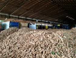 Ini Dia Solusi yang Dicari Gubernur Lampung untuk Meningkatkan Produktivitas Pertanian