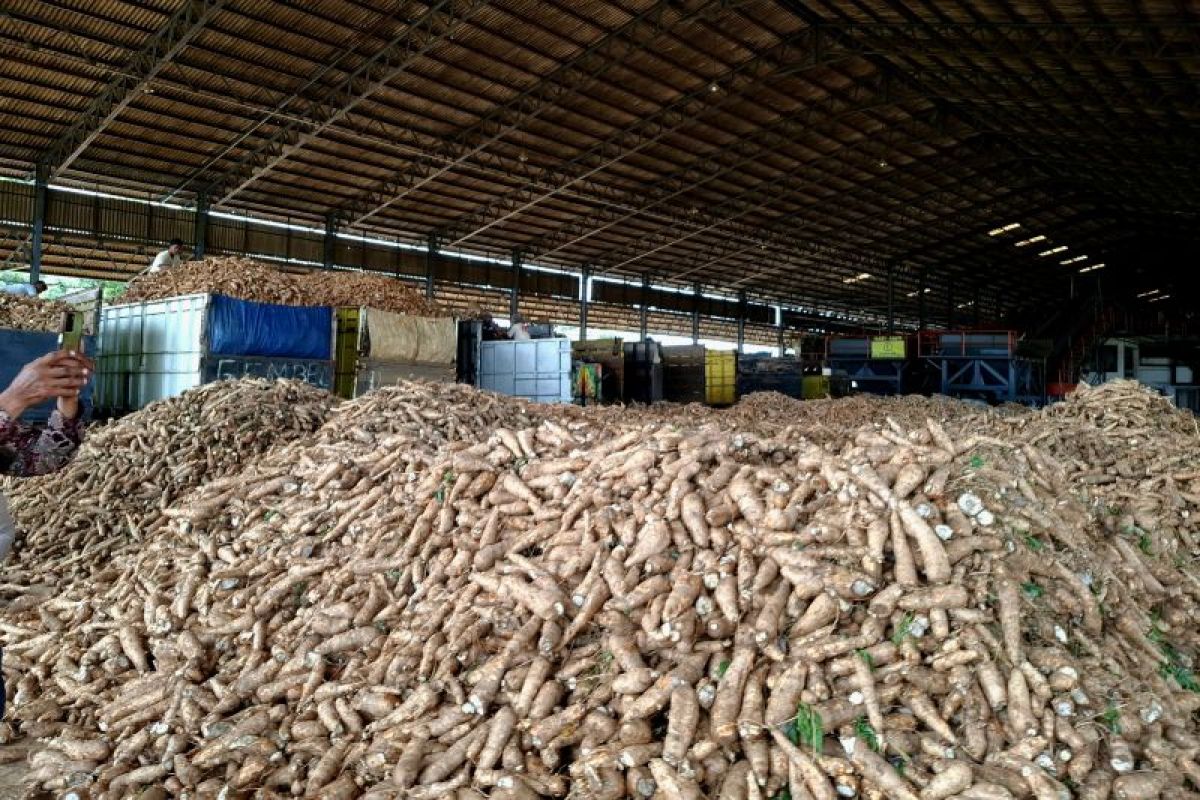 Ini Dia Solusi yang Dicari Gubernur Lampung untuk Meningkatkan Produktivitas Pertanian