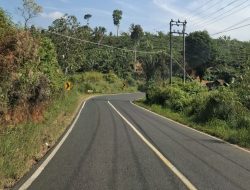 39 Titik Rawan Longsor di Lampung Siap Menghadang Pemudik Lebaran