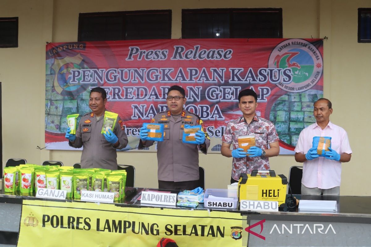 Razia Polres Lamsel Temukan Ganja Diselundupkan dalam Kemasan Teh di Bakauheni