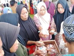 Strategi Terbaru Lampung Selatan untuk Menjaga Stabilisasi Harga Sembako