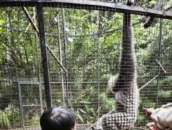 Tips Aman Liburan Lebaran: Polda Lampung Tingkatkan Pengamanan di Lokasi Wisata