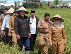 Optimalkan Panen di Jabung: Bupati Lampung Timur Dorong Dukungan Alsintan dan Harga Stabil