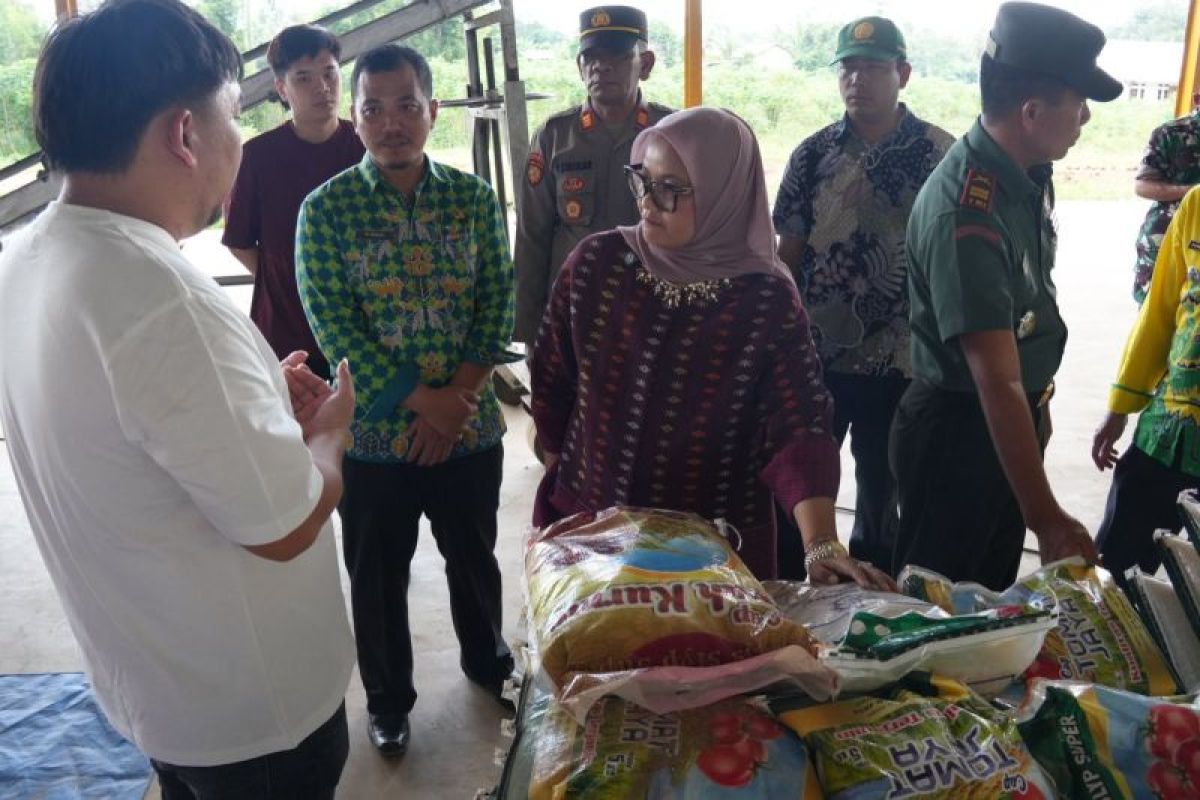 Strategi Ela untuk Meningkatkan Pembelian Gabah Petani: Sidak ke Penggilingan Padi