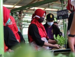Dua Kasus PHK Tercatat di Bandarlampung Tahun Ini: Apa yang Perlu Anda Ketahui