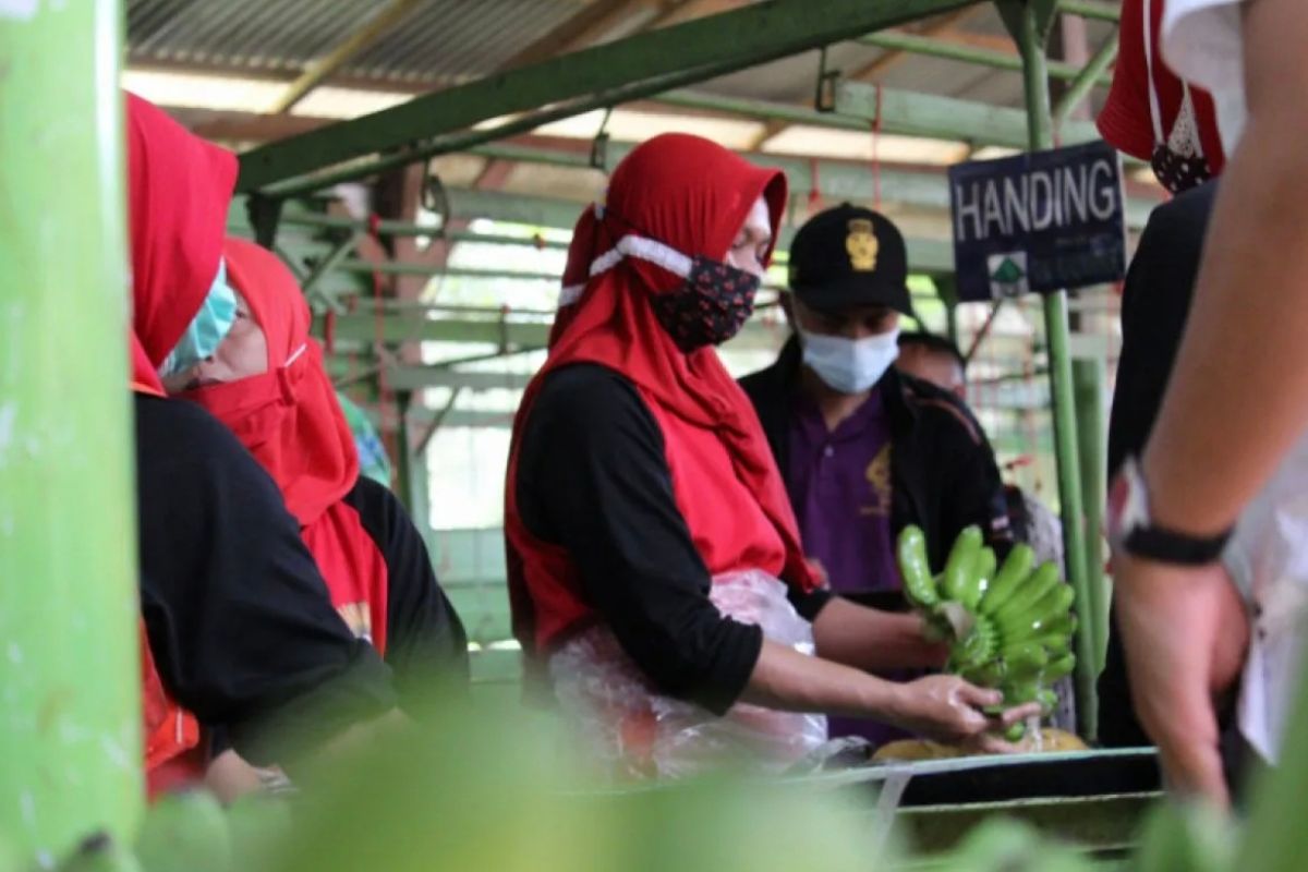 Dua Kasus PHK Tercatat di Bandarlampung Tahun Ini: Apa yang Perlu Anda Ketahui