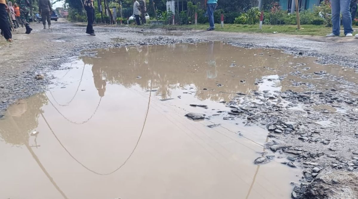 Seru! Bupati Lampung Selatan Berpartisipasi dalam Mancing Lele di Jalan Rusak