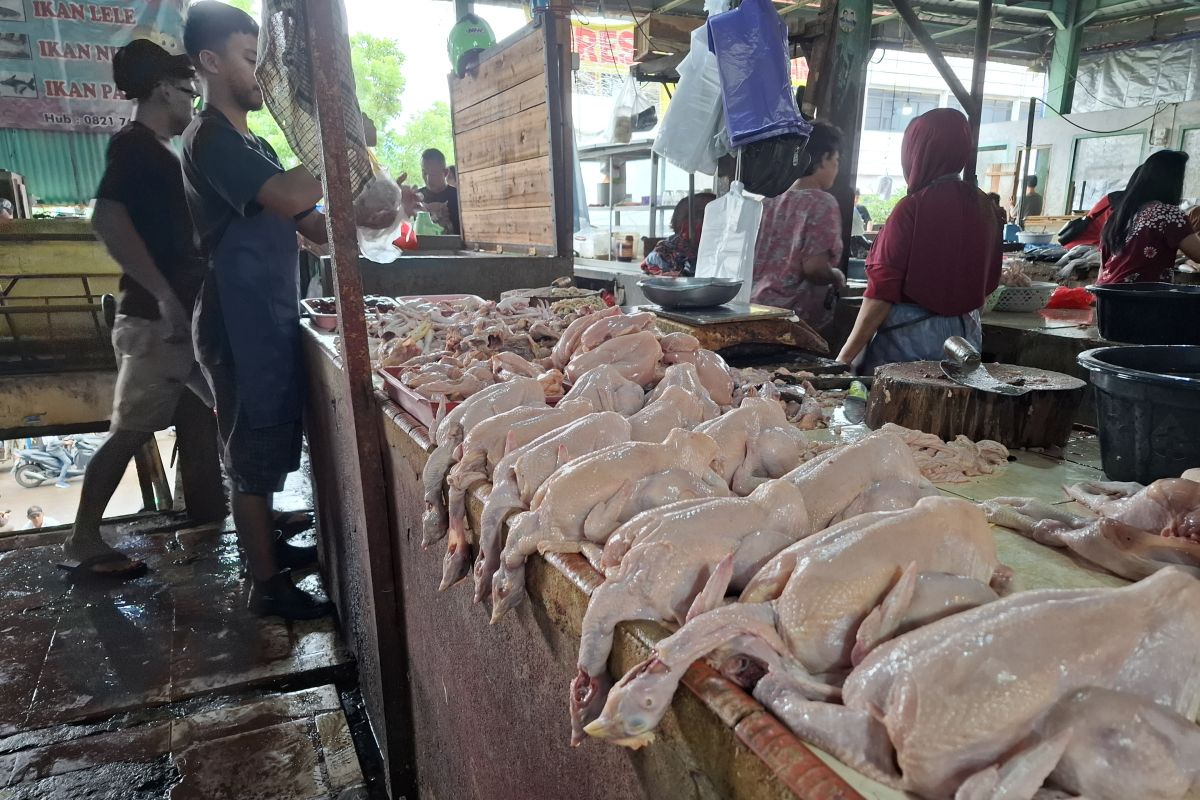 Stabilitas Harga Bahan Pangan Saat Lebaran Menurut Disperindag Lampung