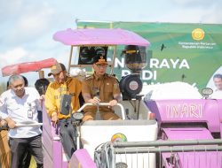 Pesta Panen Padi Serentak Gubernur Lampung: Sukses dan Meriah!