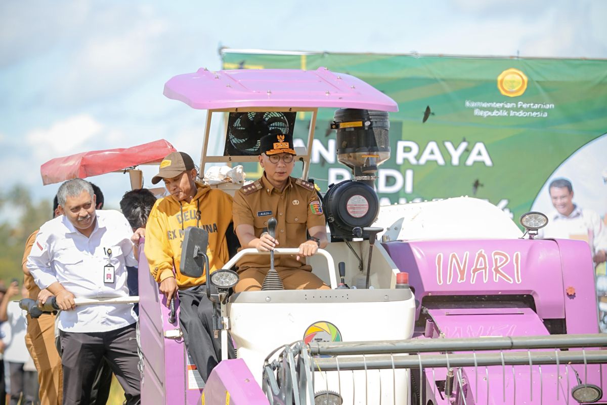 Pesta Panen Padi Serentak Gubernur Lampung: Sukses dan Meriah!