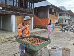 Optimalkan Potensi Desa: Fokus Utama Gubernur Lampung