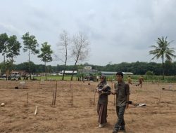 Revitalisasi Lahan Pertanian: Rencana Tanam Padi Gogo di 420 Ha Hutan Produksi Lampung