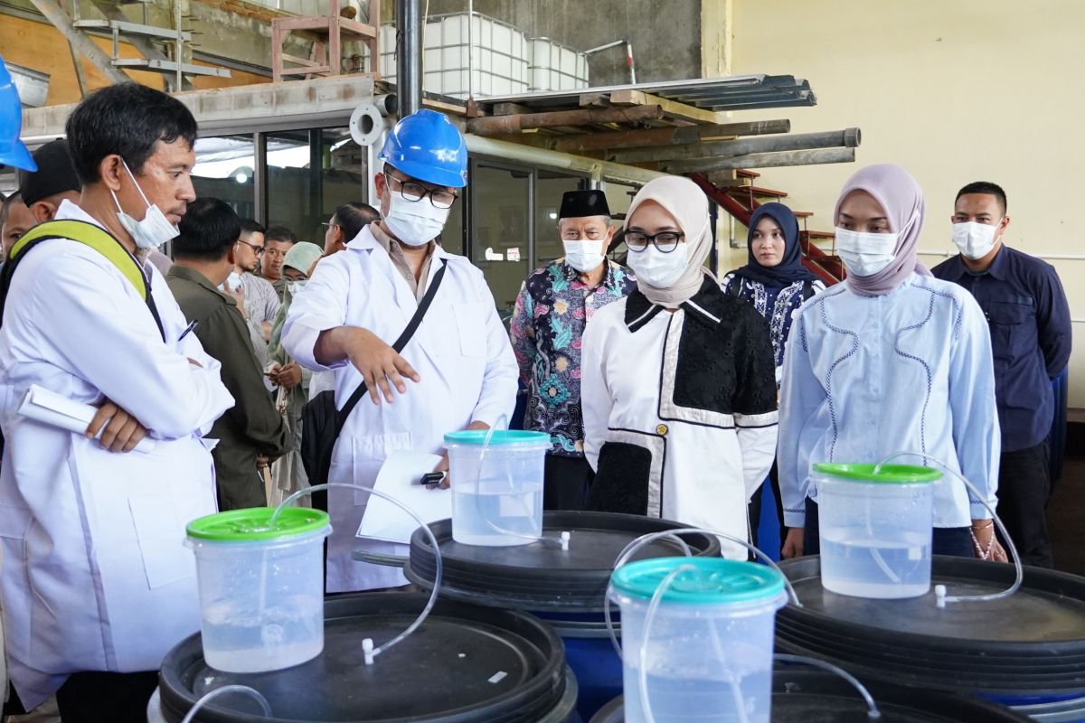 Ini Dia! Pemprov Lampung Siapkan Dana Rp10 Miliar untuk Meningkatkan Kesejahteraan Petani