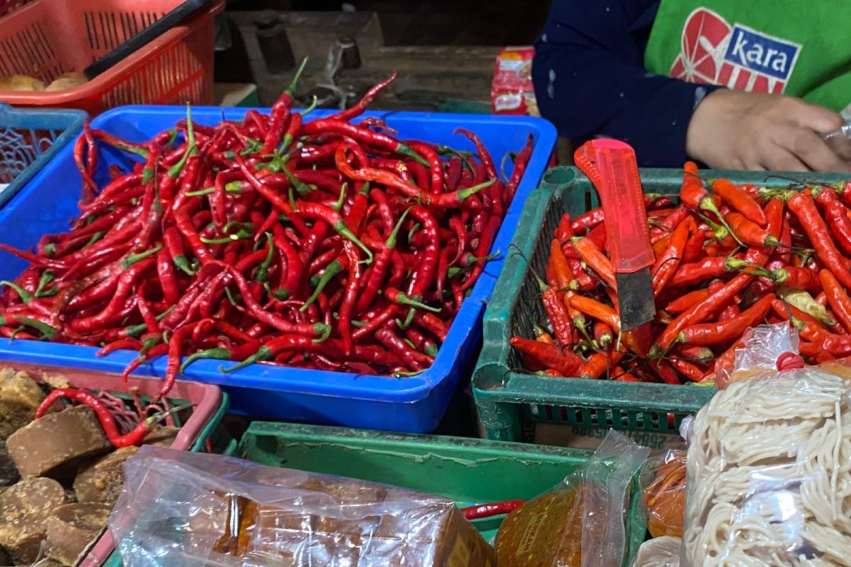 Dampak Kenaikan Tarif Listrik dan Komoditas Terhadap Inflasi di Lampung