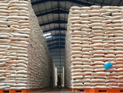 Stok Beras Bulog Aman hingga Agustus 2025 dengan 53.600 Ton