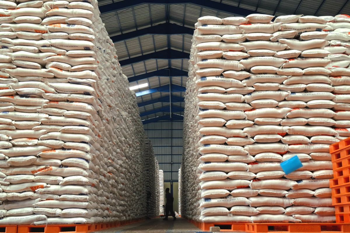 Stok Beras Bulog Aman hingga Agustus 2025 dengan 53.600 Ton