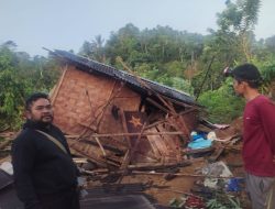 Serbuan Gajah Liar: 7 Rumah di Bandar Negeri Suoh Lampung Barat Hancur
