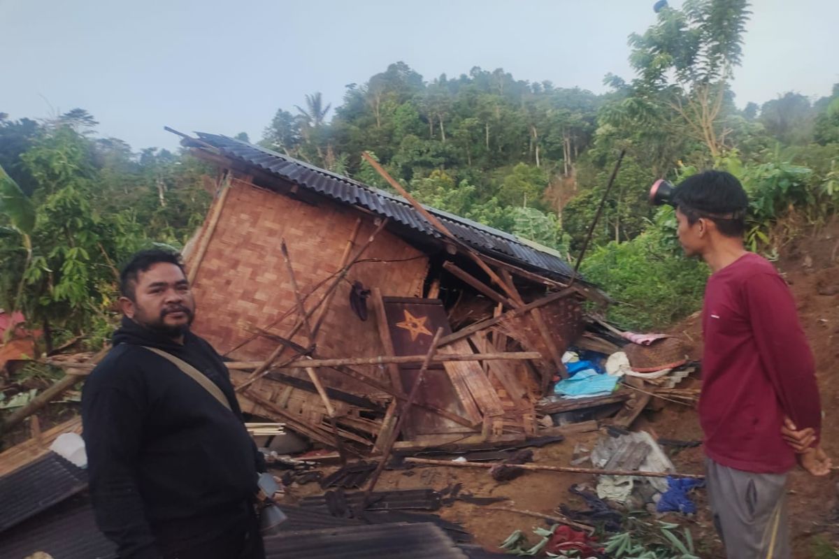 Serbuan Gajah Liar: 7 Rumah di Bandar Negeri Suoh Lampung Barat Hancur