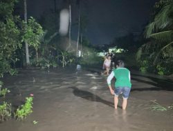 Dampak Banjir Akibat Hujan Deras di Lamsel: Rumah Warga Terendam