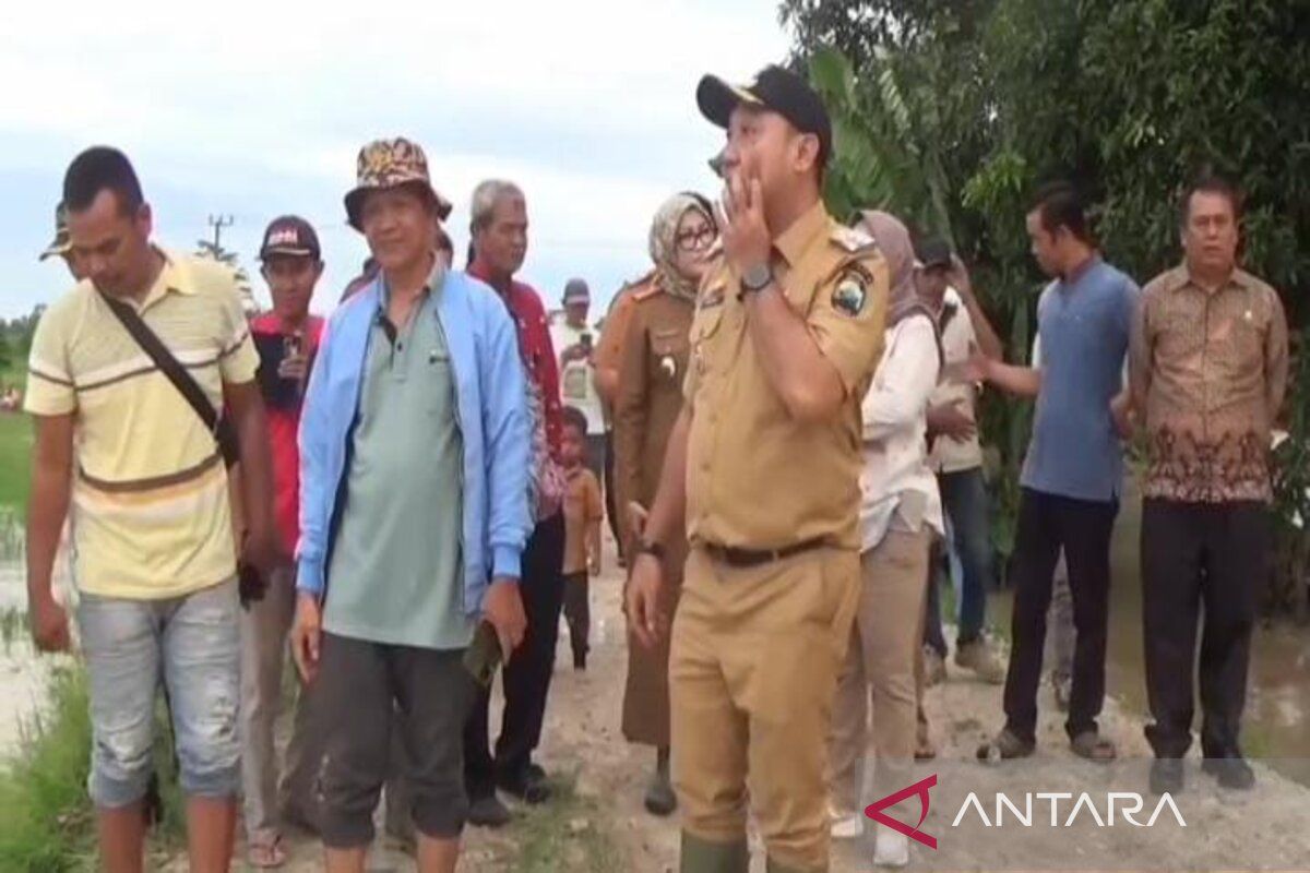 Perbaikan Tanggul Sungai Jebol oleh Wabup Lampung Selatan: Langkah Penting untuk Masyarakat