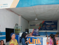 Transaksi Mudah di Pedesaan dengan BRILink