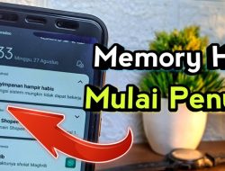 Kenapa Memori HP Cepat Penuh Padahal Aplikasi Sedikit? Ini Penyebabnya!
