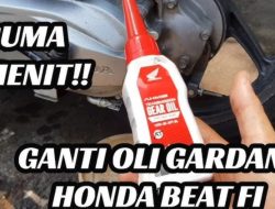 Waspadai! Ini Ciri-Ciri Oli Gardan Harus Diganti Sebelum Terlambat
