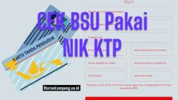 Banyak yang Belum Tahu! Cek BSU 2025 Cuma Pakai NIK, Begini Cara Resminya