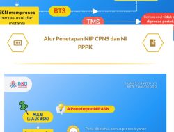 Jangan Lewatkan! Begini Cara Cek NI PPPK Tahap 2 Secara Mandiri dan Kolektif