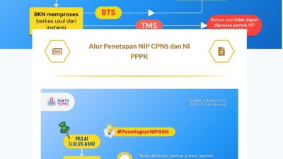 Jangan Lewatkan! Begini Cara Cek NI PPPK Tahap 2 Secara Mandiri dan Kolektif