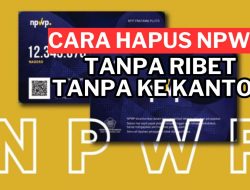 Tidak Lagi Bekerja? Ini Cara Resmi Menonaktifkan NPWP