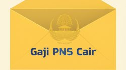 Gaji PNS Naik per 1 Agustus 2025: Plus 3 Tunjangan Baru Langsung Cair ke Rekening