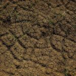 BPBD Gencarkan Pemantauan, 7 Wilayah Jaksel dan 2 Jaktim Rawan Longsor