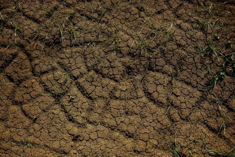 BPBD Gencarkan Pemantauan, 7 Wilayah Jaksel dan 2 Jaktim Rawan Longsor