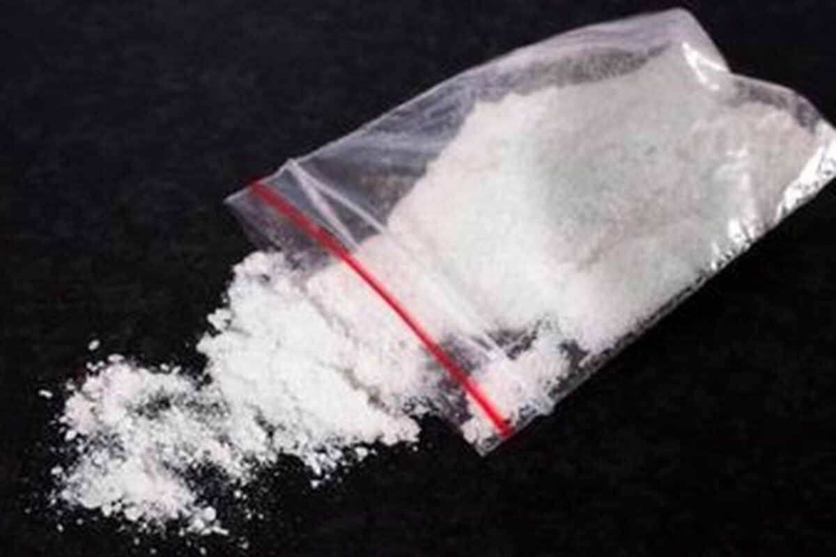 Dikira Maling, 2 Pria di Banyuwangi Ternyata Bawa 30 Paket Sabu Siap Edar