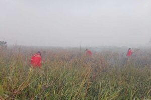 OKI Siaga Darurat Karhutla hingga Desember 2026, Ratusan Personel Perketat Patroli