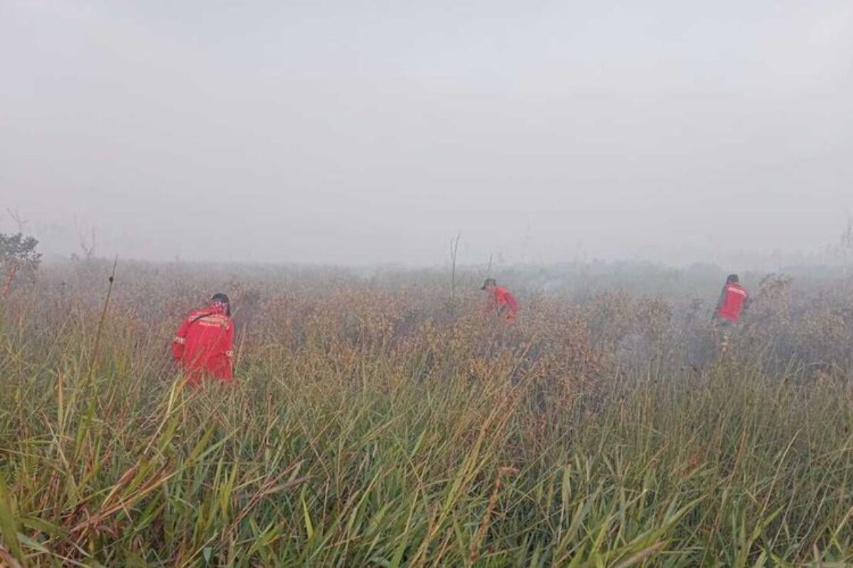 OKI Siaga Darurat Karhutla hingga Desember 2026, Ratusan Personel Perketat Patroli