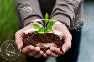 Gaya Hidup Ramah Lingkungan Masih Mahal