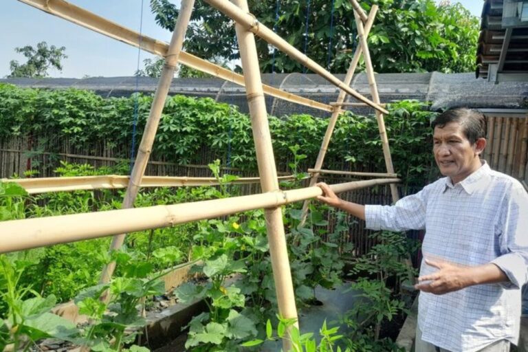 Cerita Anggota DPRD Jabar Terapkan Pertanian Organik Terpadu di Pekarangan Rumah