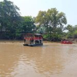 Kali Bekasi Jadi “Sarang” Ikan Sapu-sapu, Penangkapan Massal Juni 2026