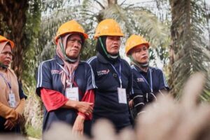 Petani Sawit Perempuan Naik Kelas, Hasil Kebun Ikut Terdongkrak