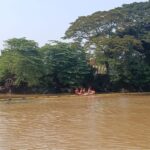 Diam-diam Mendominasi, Ikan Sapu-sapu Disebut “Bersarang” di Kali Bekasi