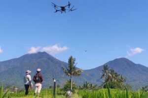 Petani Jatiluwih Bali Gunakan Drone, Pupuk 1 Hektar Sawah Cuma 10 Menit