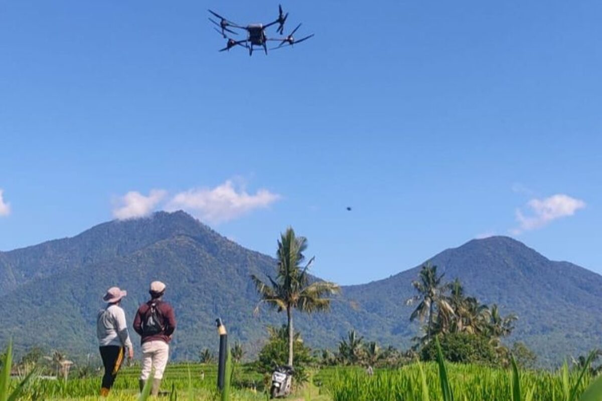 Petani Jatiluwih Bali Gunakan Drone, Pupuk 1 Hektar Sawah Cuma 10 Menit