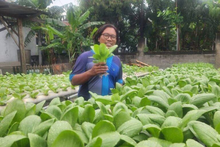 Tiga Pemuda Pasuruan Sulap Lahan Kosong Jadi Kebun Hidroponik